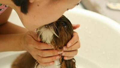 Des astuces pour réaliser l'installation d'une baignoire balnéo