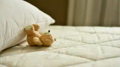 Comment traiter les punaises de lit ?