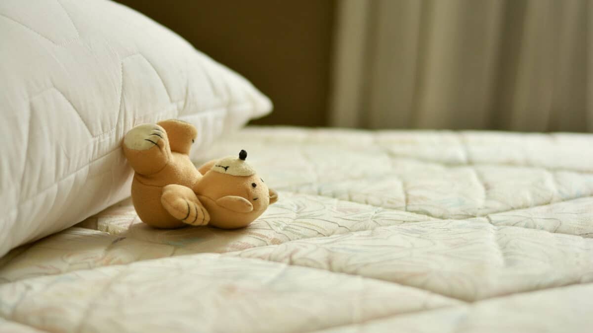 Comment traiter les punaises de lit ?