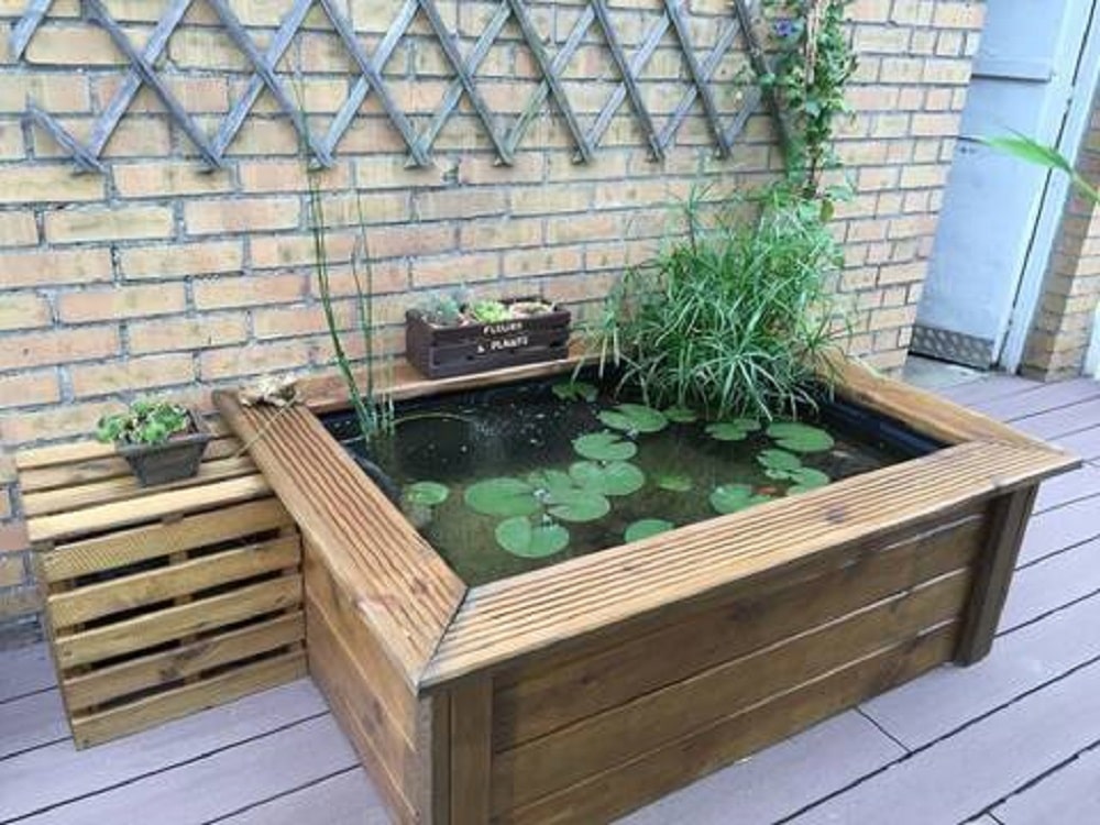 construire un bassin pour poissons hors sol