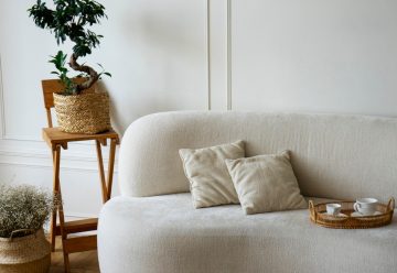 La tendance du canapé arrondi : la star des salons contemporains