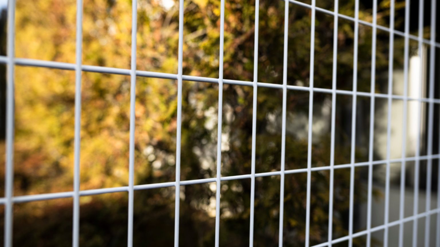 Le grillage rigide gris : la solution idéale pour une clôture élégante et sécurisée dans votre jardin