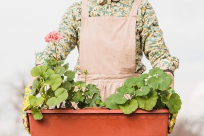 Sac à plantes ou jardinière : que choisir pour votre jardin ?