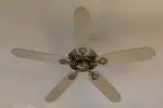 white 5 blade ceiling fan