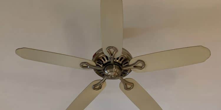 white 5 blade ceiling fan