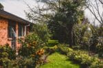 jardin verdoyant avec des fleurs, derrière une maison en briques