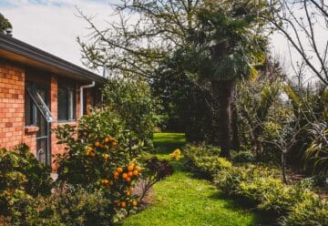 jardin verdoyant avec des fleurs, derrière une maison en briques