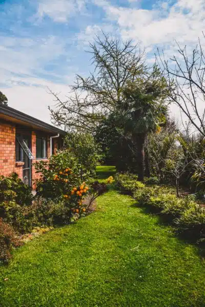 jardin verdoyant avec des fleurs, derrière une maison en briques